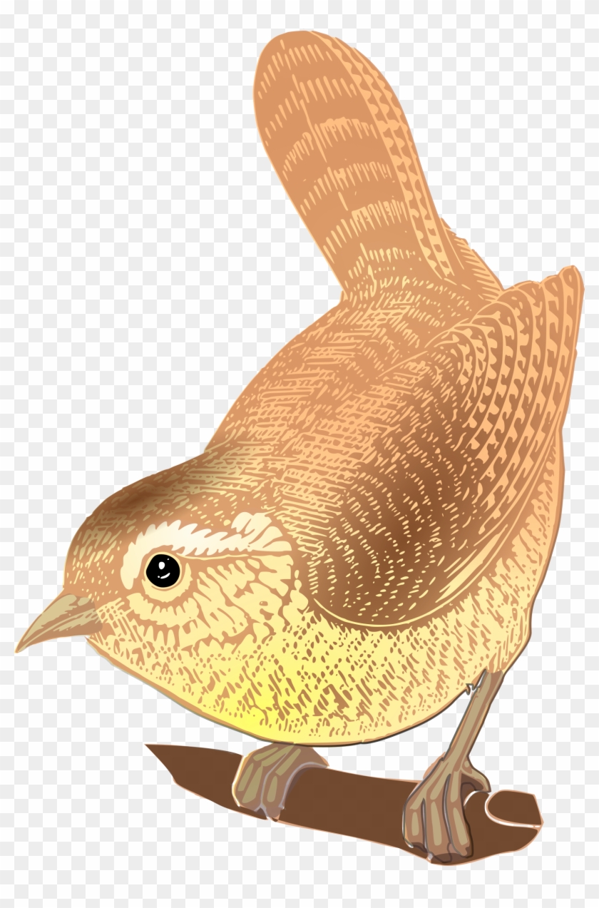 This Free Icons Png Design Of Eurasian Wren - Wren Clipart #342119
