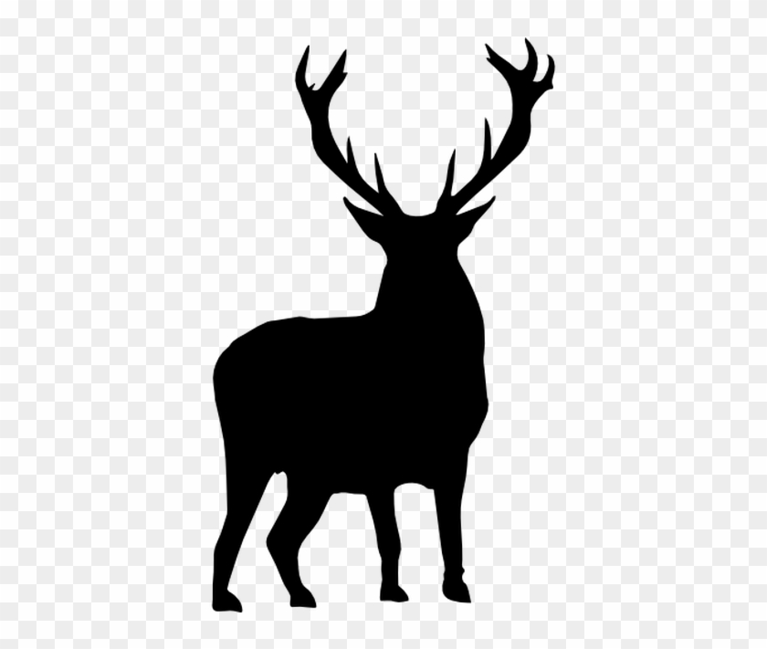 White-tailed Deer Moose Silhouette Clip Art - Stag Silhouette #342126