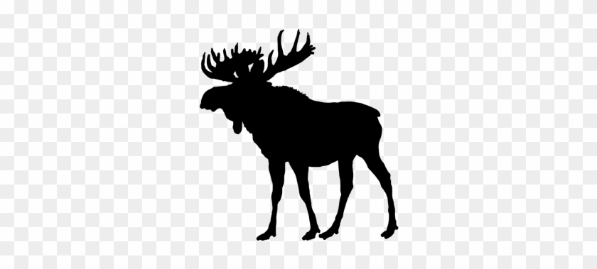 Moose Milk - Moose Silhouette Png #342151