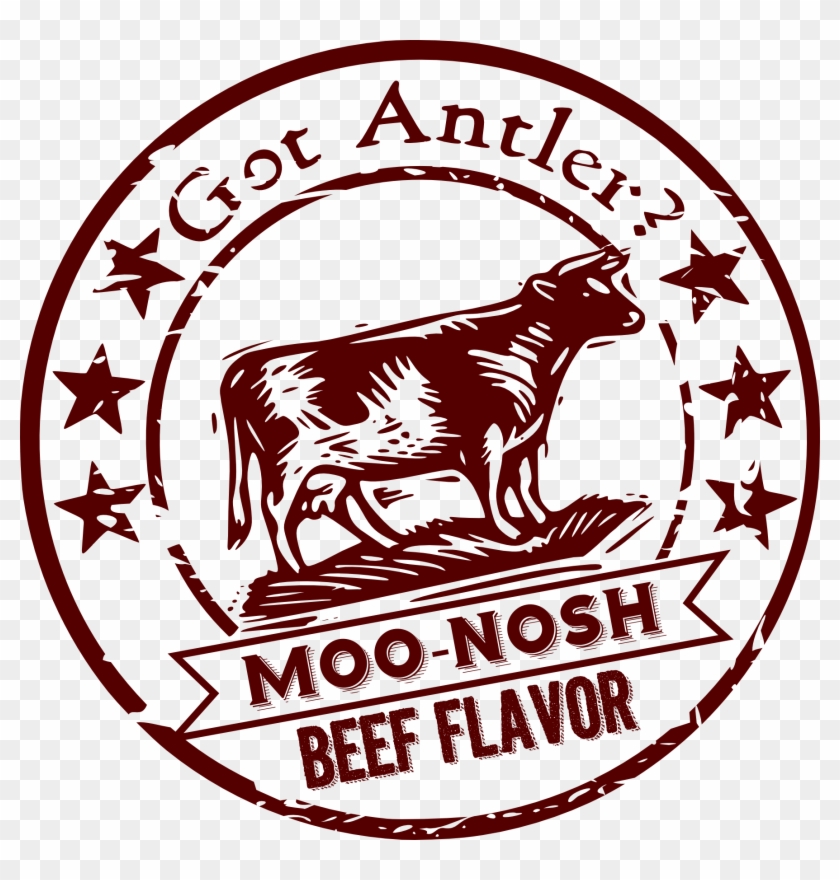 Moo-nosh Moose Antler A Great Way To Try A Moose Antler - Moose #342247