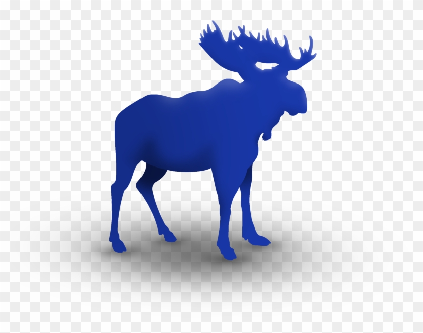 Moose On The Loose Family Fun Run & 5k Deer Birthday - Moose On The Loose Family Fun Run & 5k Deer Birthday #342271