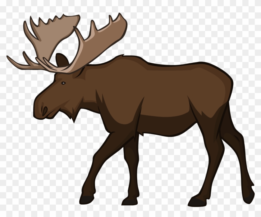 Moose - Moose #342315