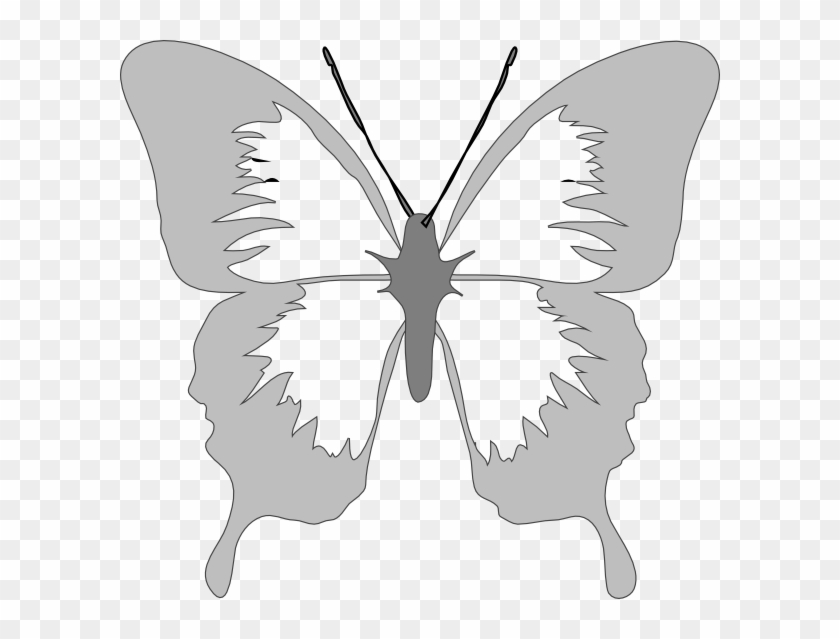 Butterfly In Silver Clip Art At Clker - Butterfly Clip Art #342400