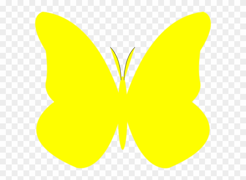 Yellow Butterfly Clipart #342428