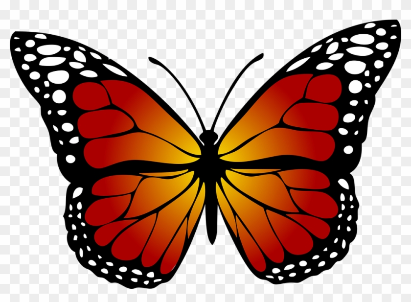 Butterfly, Monarch, Abstract, Artistic - Kupu Kupu Hitam Putih #342432