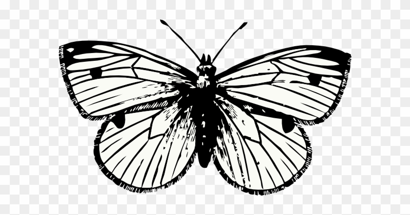 Butterfly Tattoo Png #342431