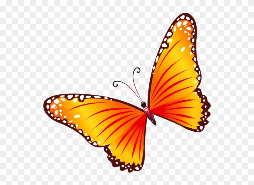 Transparent Orange Butterfly Png Clipart - Red And Yellow Butterfly #342480