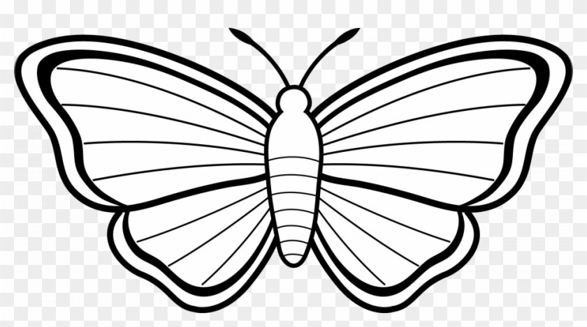 Outline Of A Butterfly Clip Art Outline Coloring Page - Butterfly Drawing For Kids #342543