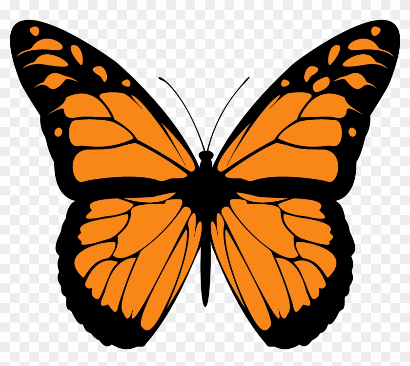 Butterflies Monarch Ies Clipart Https Tango Hamburg - Draw A Monarch Butterfly #342612