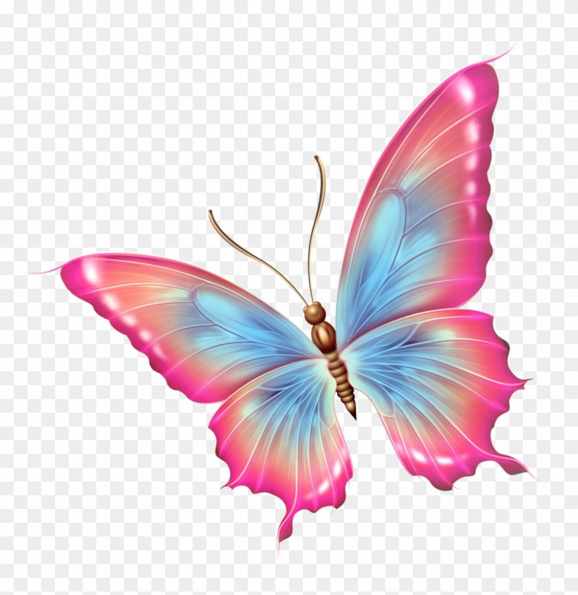 Patterns - Butterfly Clipart #342651