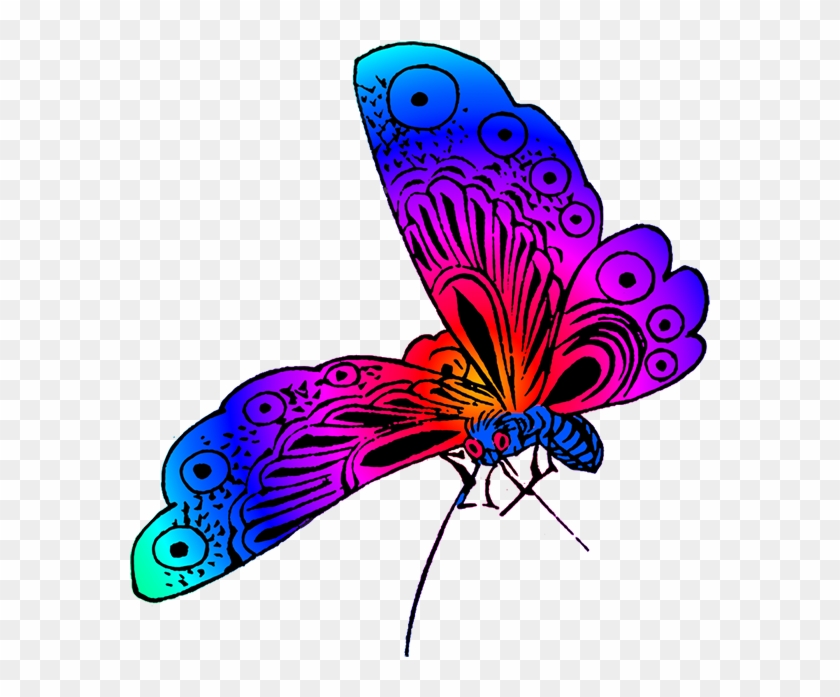 Beautiful Butterfly Image - Beautiful Butterfly Clipart #342687