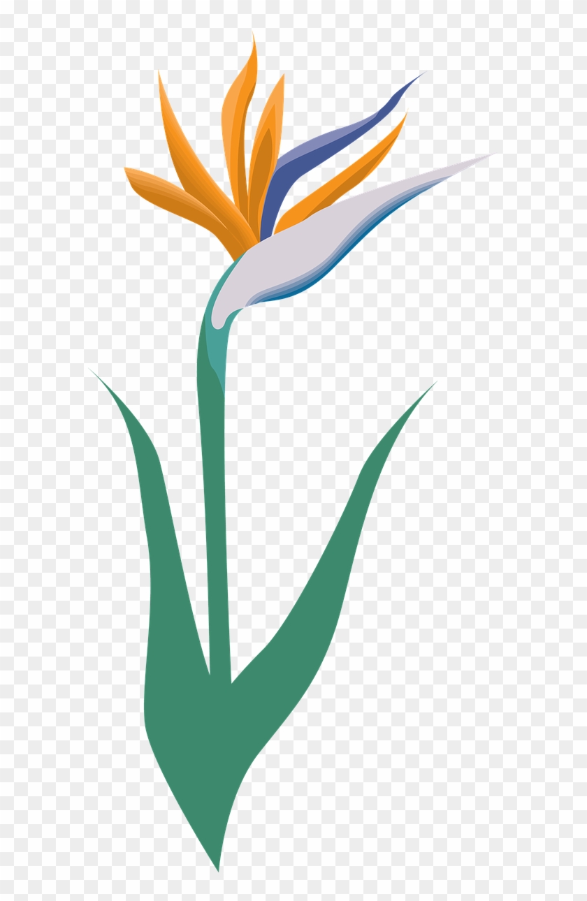 Garden, Flower, Icon, Symbol, Blossom, Logo - Thank You Wedding Party Card #342752