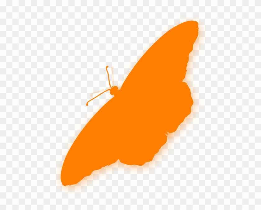 Butterfly Silhouette Orange #342781