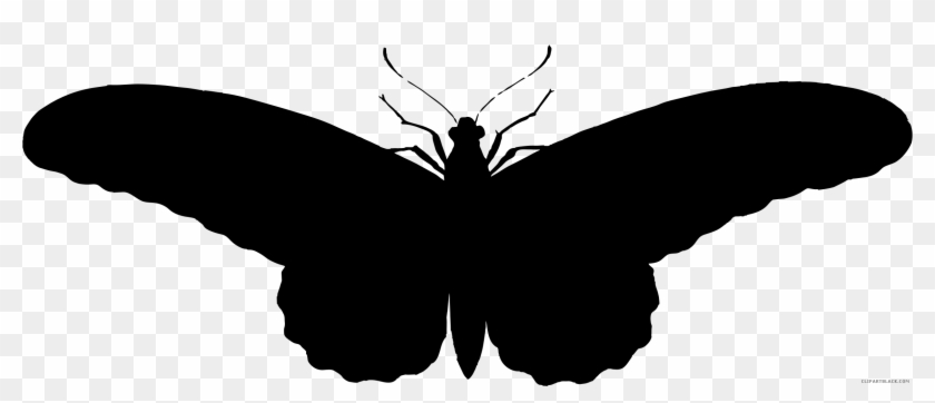 Butterfly Silhouette Animal Free Black White Clipart - Gambar Siluet Kupu Kupu Swallowtail #342790