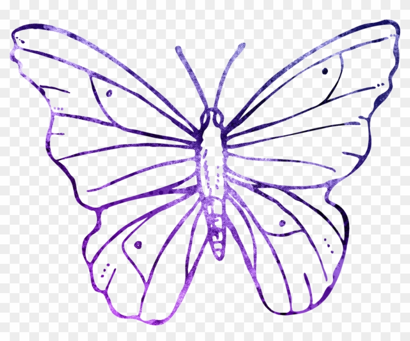 Butterfly - Transparent Background Butterfly Flower Line Art #342794