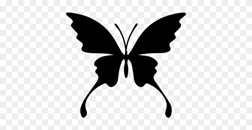 Butterfly Silhouette Vector - Siluetas Flores Y Mariposas #342849