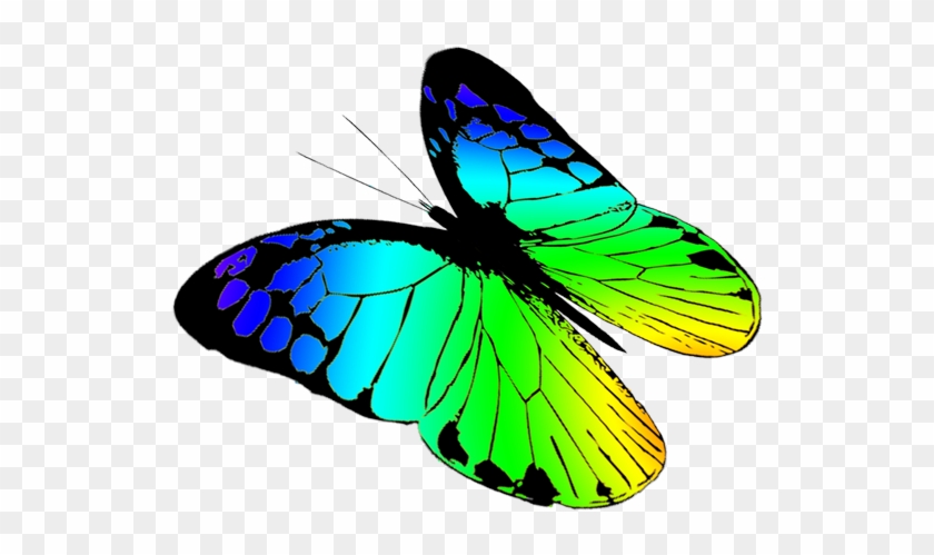 Free Butterflies Drawing, Free Butterfly Clipart - Butterflies Flying Drawing #342862