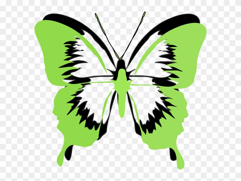 Green Butterfly Clip Art - Butterfly Clip Art #342882