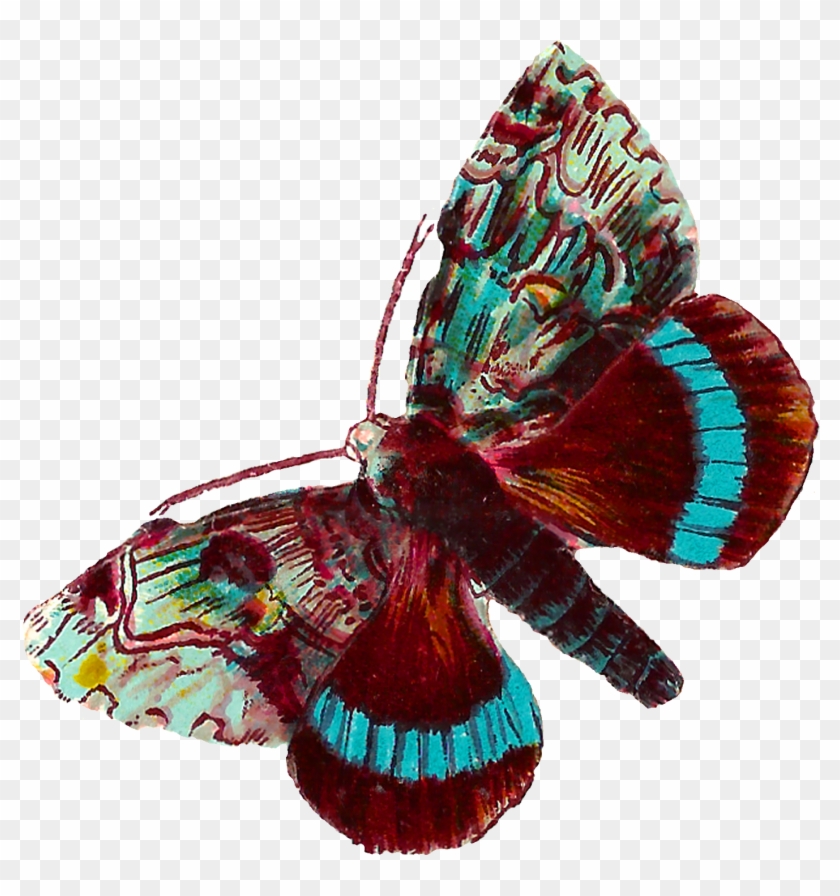 Digital Butterfly Moth Clip Art Downloads - Butterflies And Moths #342982