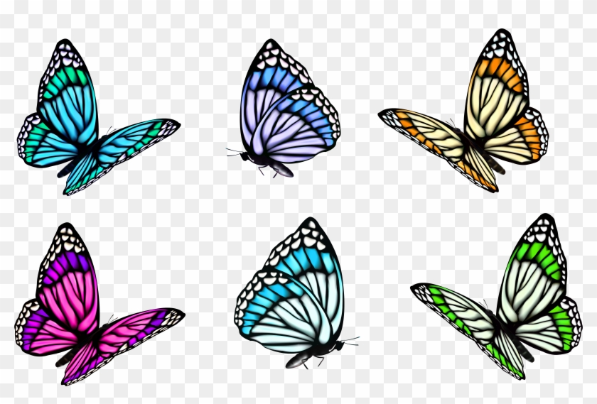 Full-color Decorative Butterfly Illustrations Clip - Set Of Butterflies Clipart #343013