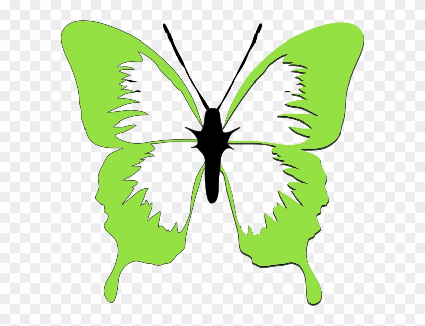 Butterfly Clipart Light Green - Butterfly Black And White Clipart #342999