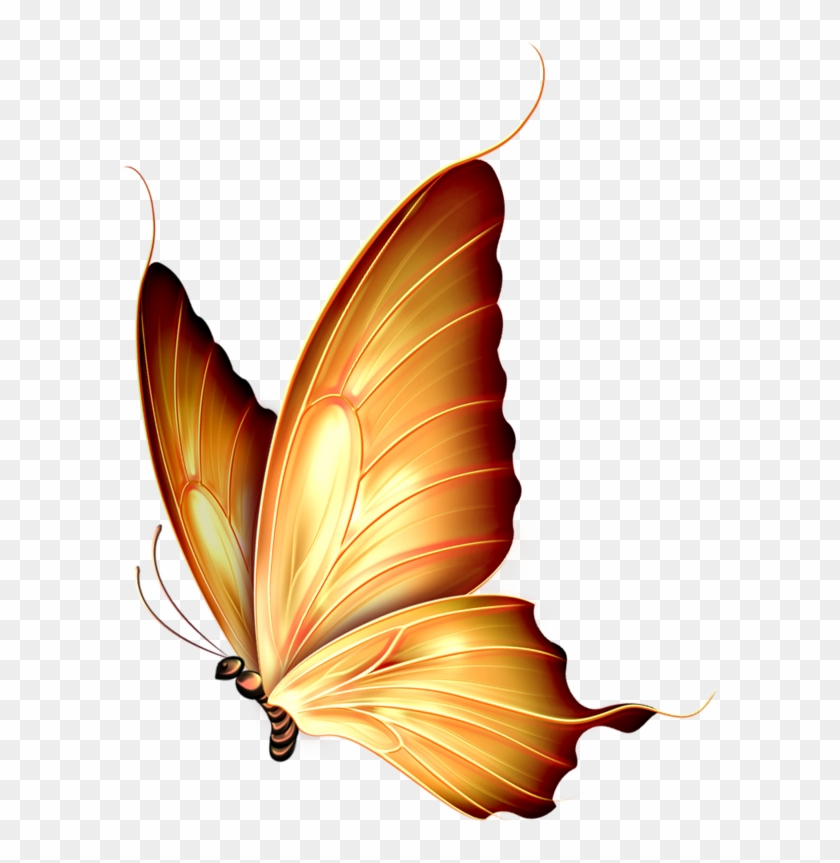 Butterflies - Butterfly Png #343003
