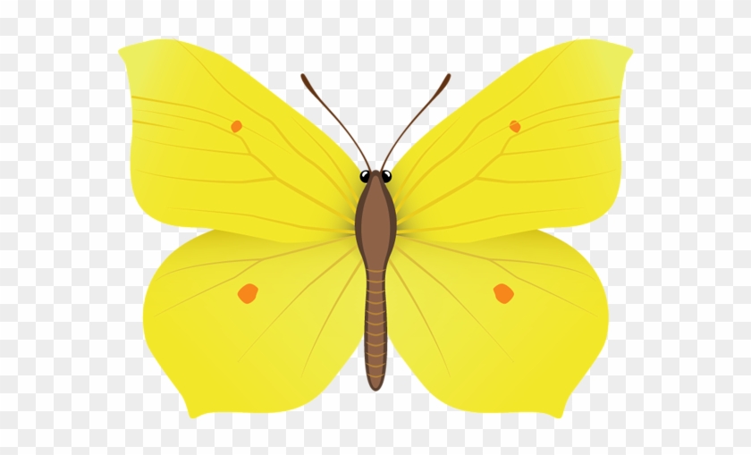 Yellow Butterfly Png Clipart Image - Yellow Butterfly Clipart Png #343006
