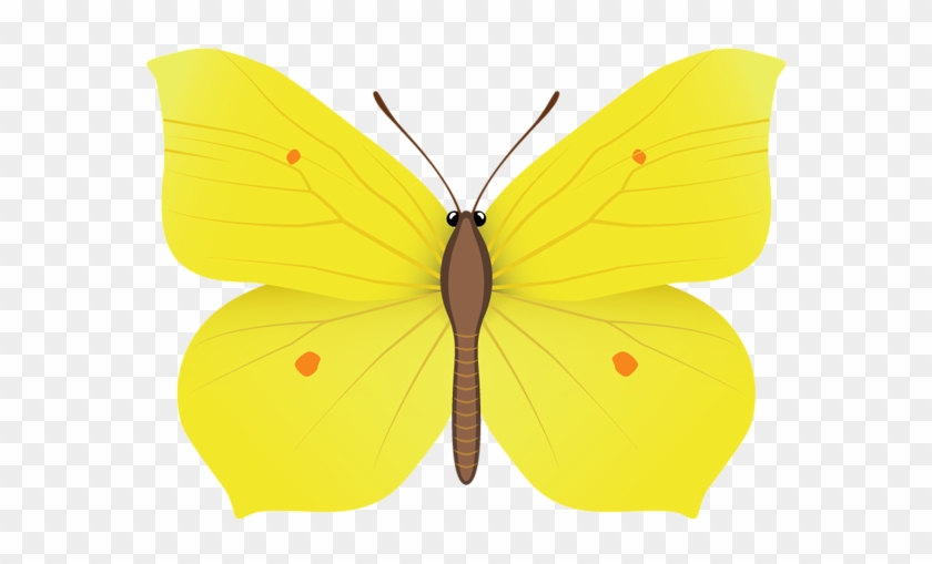 Yellow Butterfly Png Clipart Image - Yellow Butterfly Clipart Png #343006