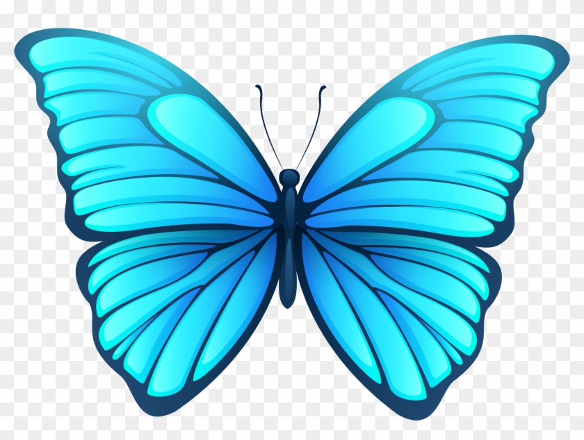 Butterfly Clip Art - Blue Color Butterfly Png #343033
