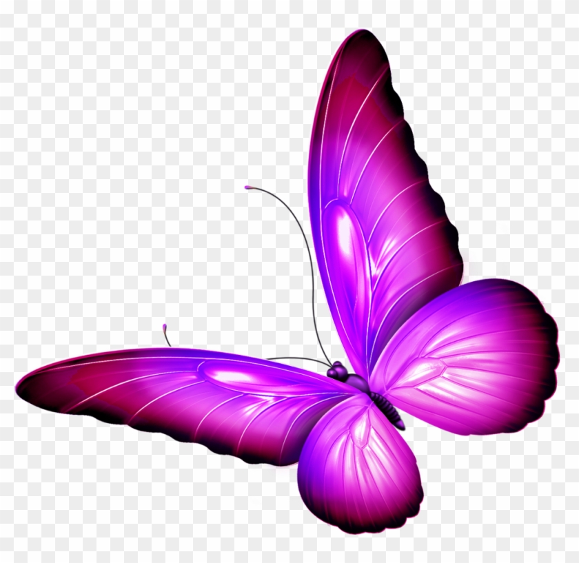 Butterfly Wings Pink Purple Shaded Wingedcreatures - Purple #343031