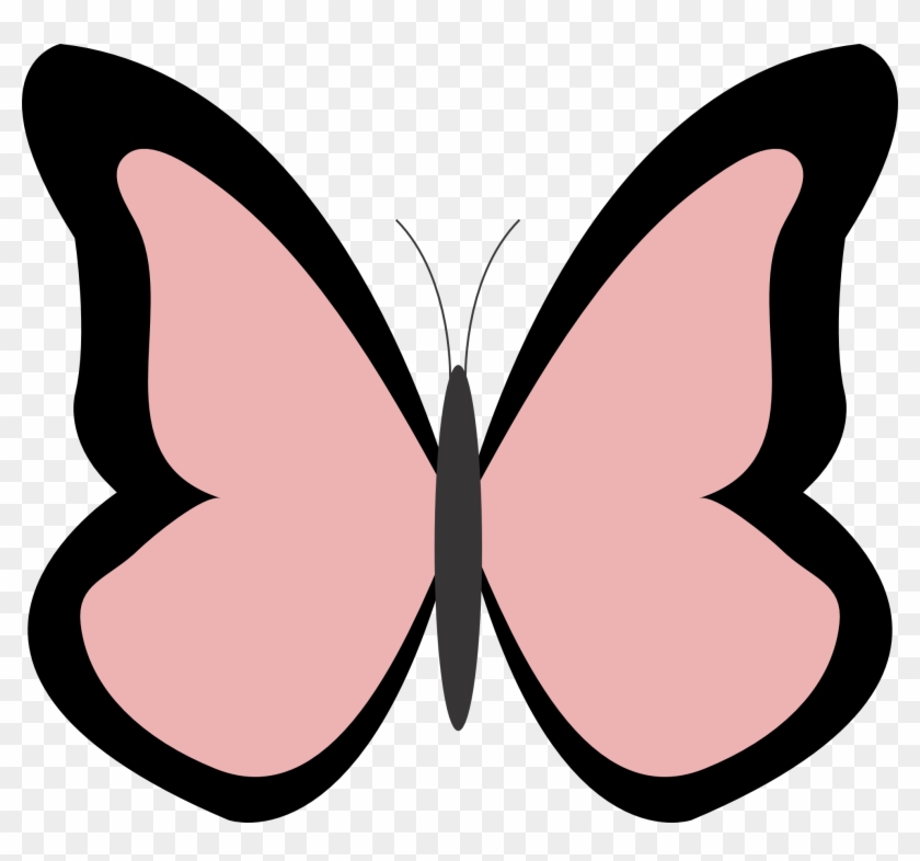 Net » Clip Art » Butterfly Color Colour Rosy Brown - Clip Art #343037