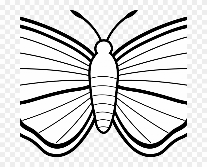 Outline Image Of Butterfly Butterfly Wing Outline Free - Butterfly Images Clipart Black And White #343039