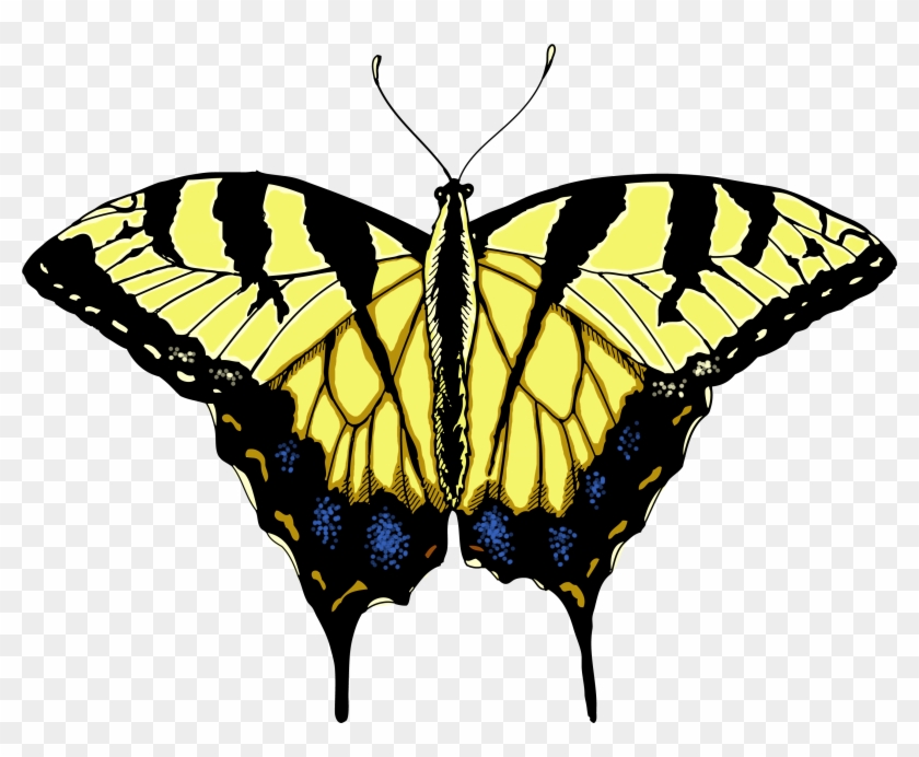 Swallowtail Butterfly Clip Art - Butterfly #343049