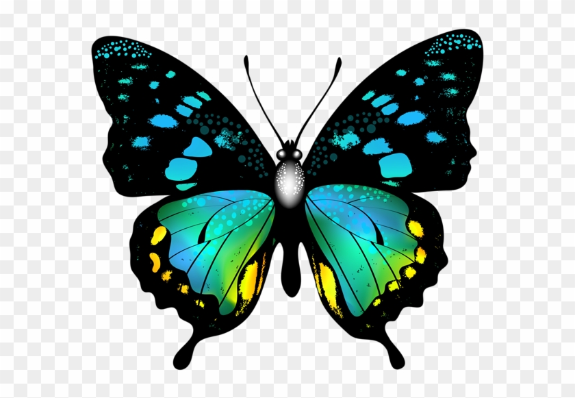 Blue Colorful Butterfly Png Clip Art Image - Butterflies Colorful #343050