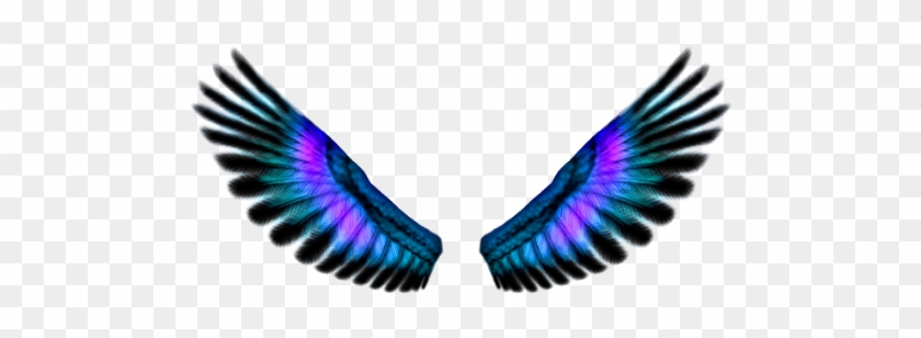 Fairy Wings Png - Background Sayap Png #343062