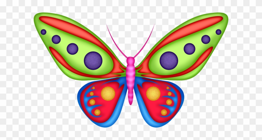 Colorful Butterfly - Butterfly #343068