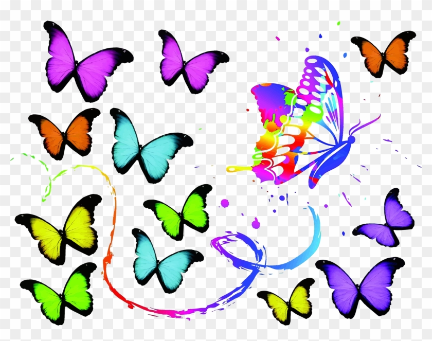 Butterfly Painting - Butterfly Painting #343097