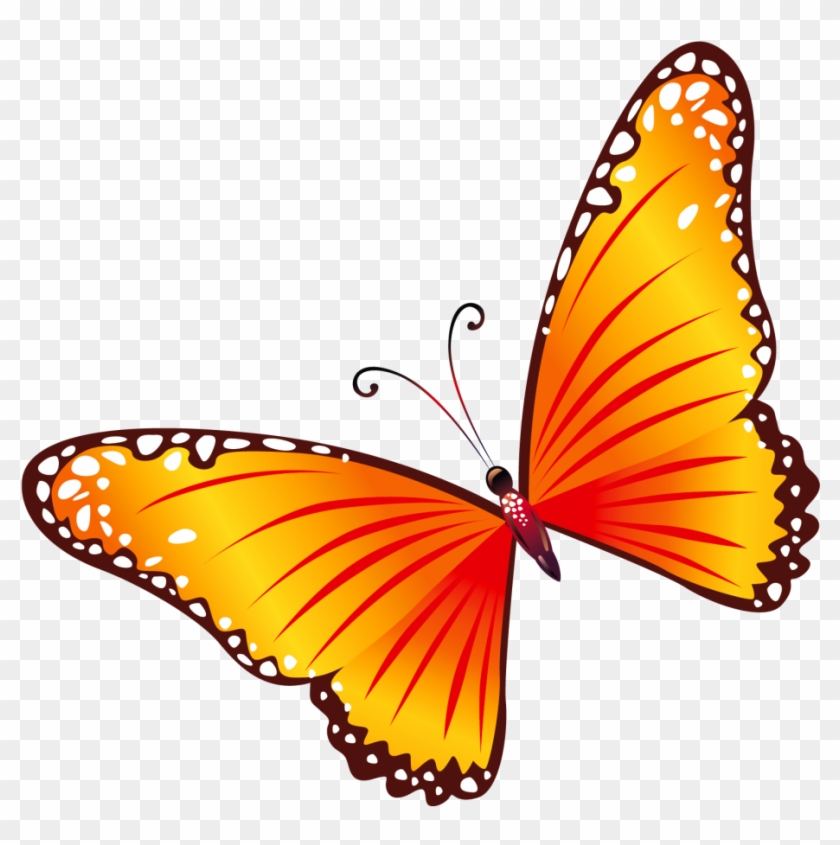 Butterfly Image Clipart - Red And Yellow Butterfly #343115