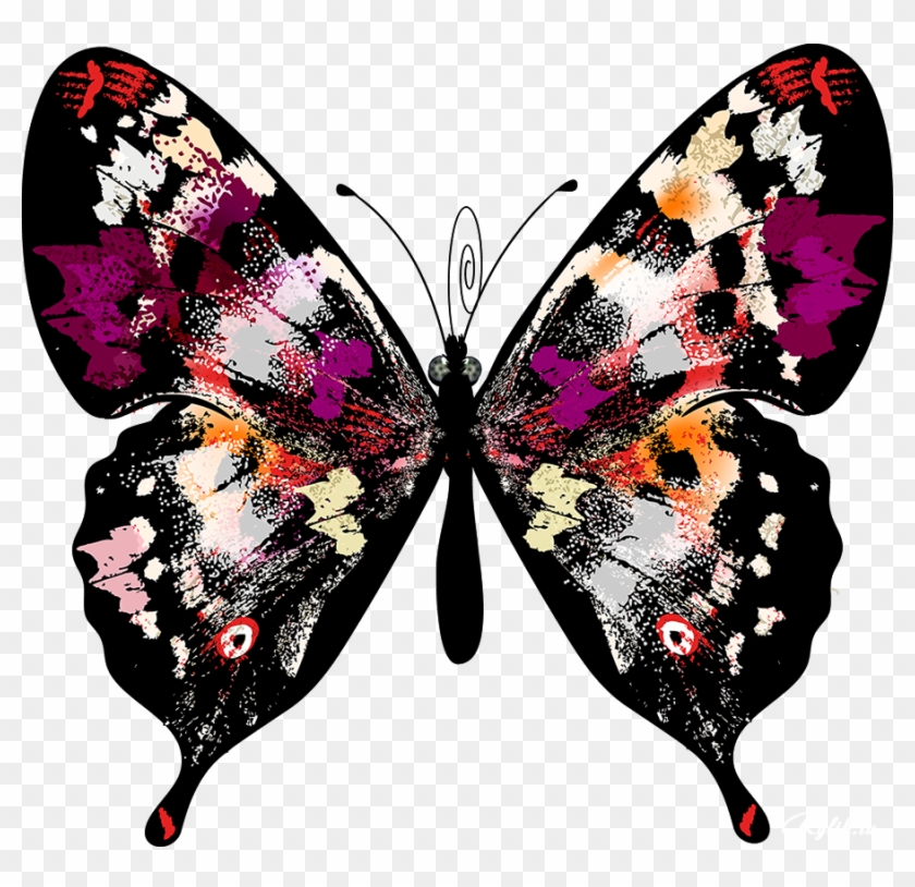Butterfly Clip Art - Butterfly Clip Art #343165