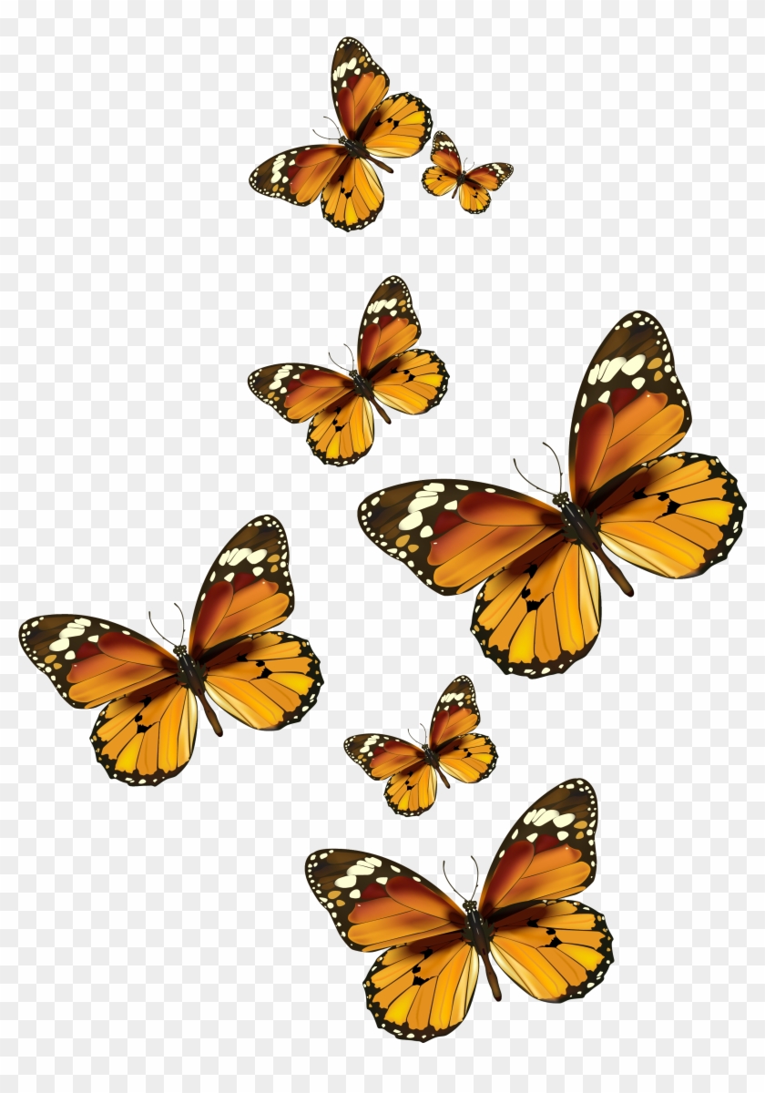 Butterflies Vector Png Clipart Picture - Painted Lady Butterfly Clip Art #343146