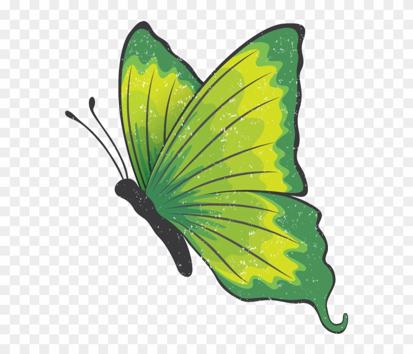 The Green Butterfly Gala May 10, 2018 @ - The Green Butterfly Gala May 10, 2018 @ #343176