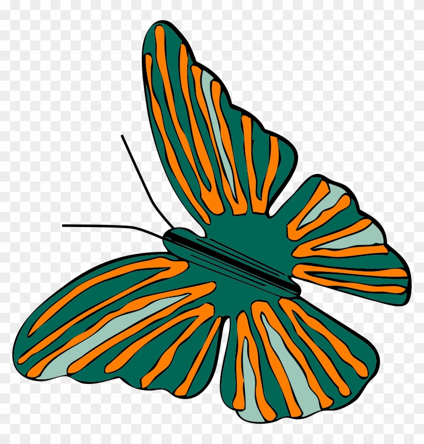 Free Butterfly - Green And Orange Butterfly #343181