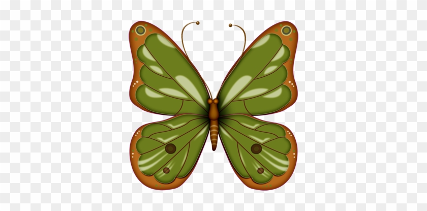 Clipart Butterflies - Clip Art #343203