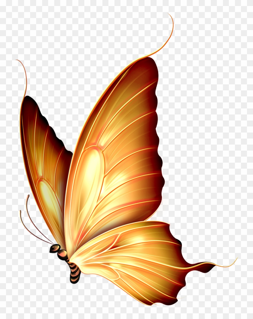 Butterfly Insect Clip Art - Butterfly Insect Clip Art #343255