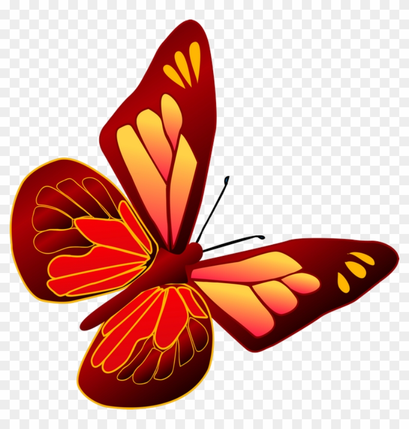 ‿✿⁀butterflies‿✿⁀ - Clipart Butterfly Orange #343227