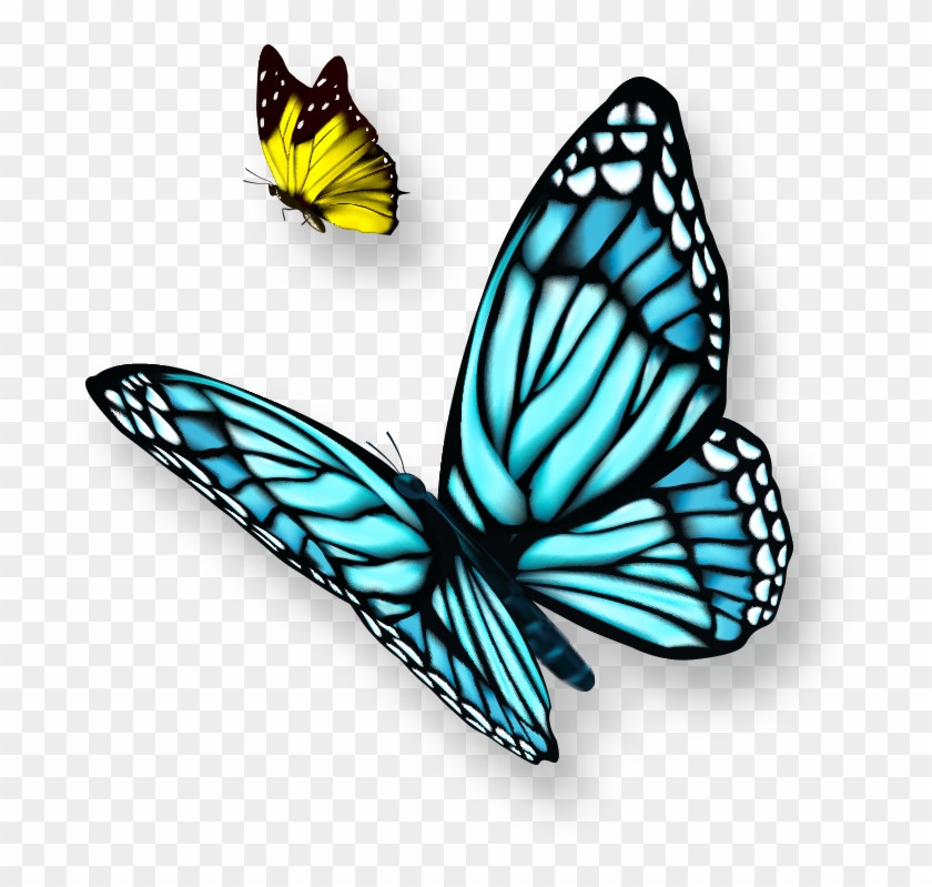 04 - Butterflies And Flowers Clipart #343247