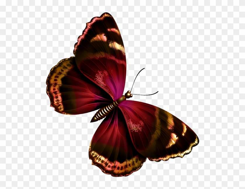 Papillon Clipart Beautiful Butterfly - Dark Red Butterfly Png #343295
