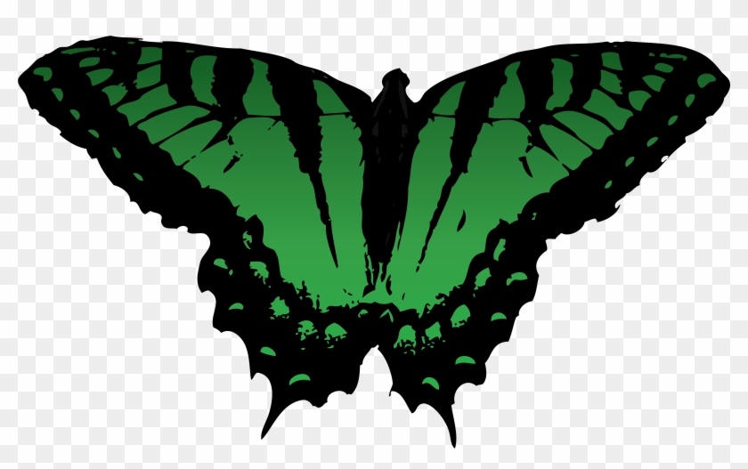 Butterfly Vector Free For Use By Romansiii On Clipart - Free Green Vector Butterfly #343371