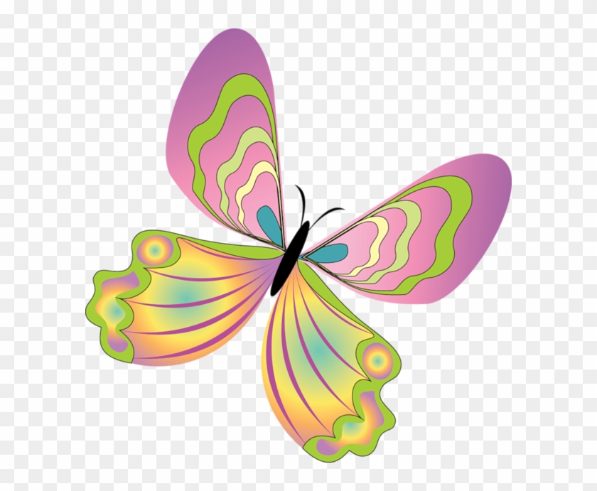 Tubes - Butterfly Spring Clip Art #343362
