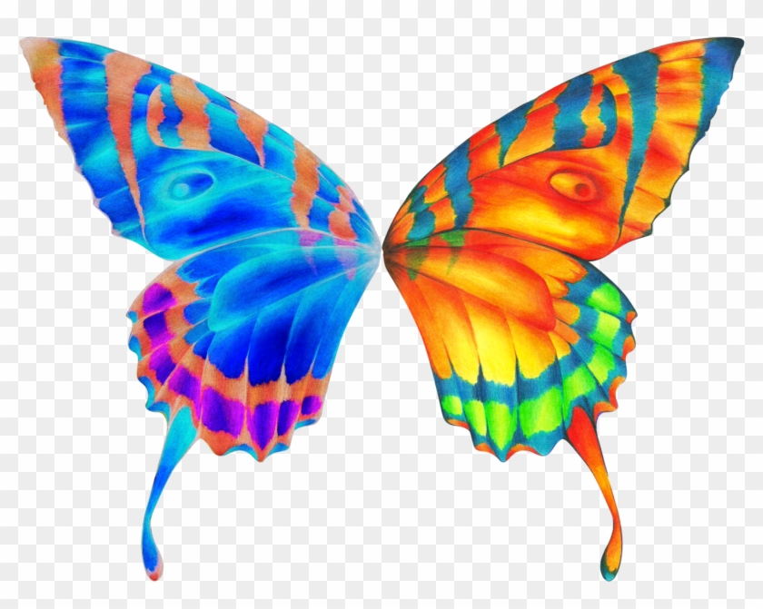 Butterfly Wings Clip Art - Butterfly Wings Transparent Background #343614